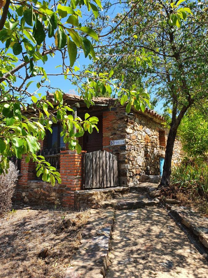 Holiday Home,1657158082:JPEG