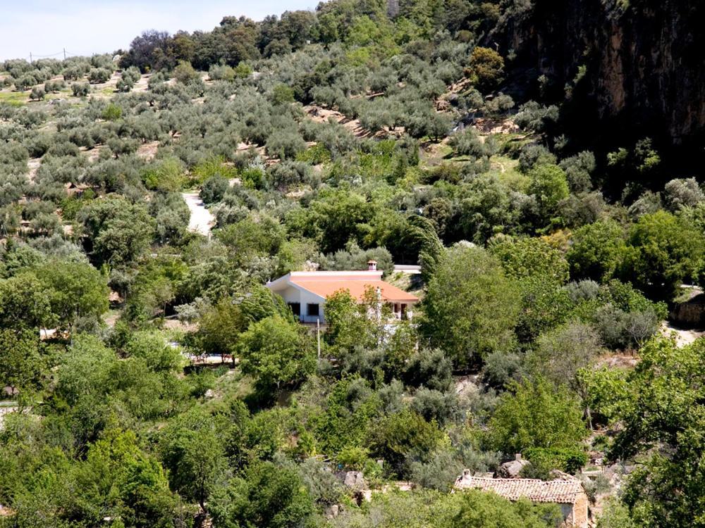 Two-Bedroom Villa,11628935:JPEG