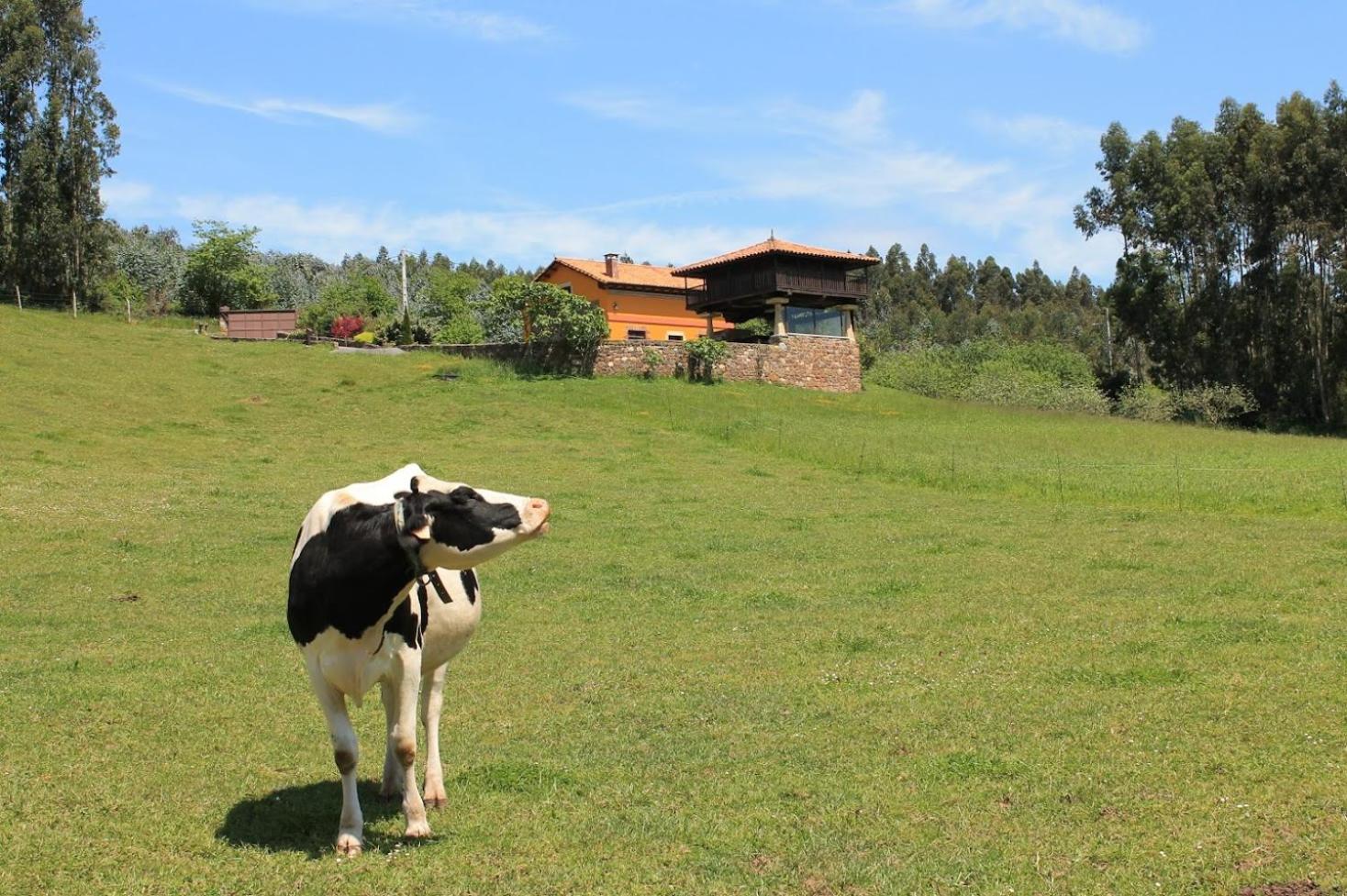 Three-Bedroom Apartment with Mountain View,1603331877:JPEG