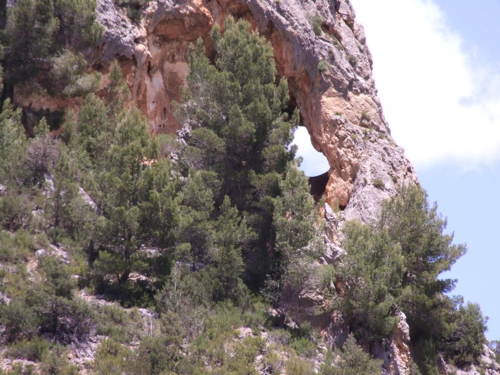 Three-Bedroom Townhouse,243207377:JPEG