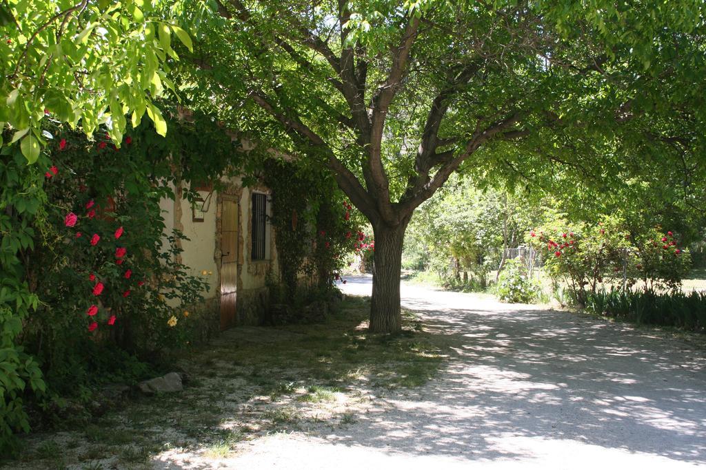 Casa con 1 dormitorio