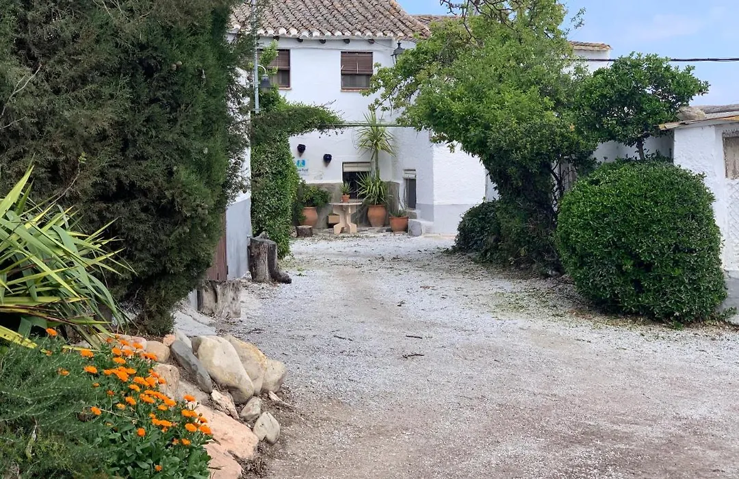 Cortijo Bustamante-1