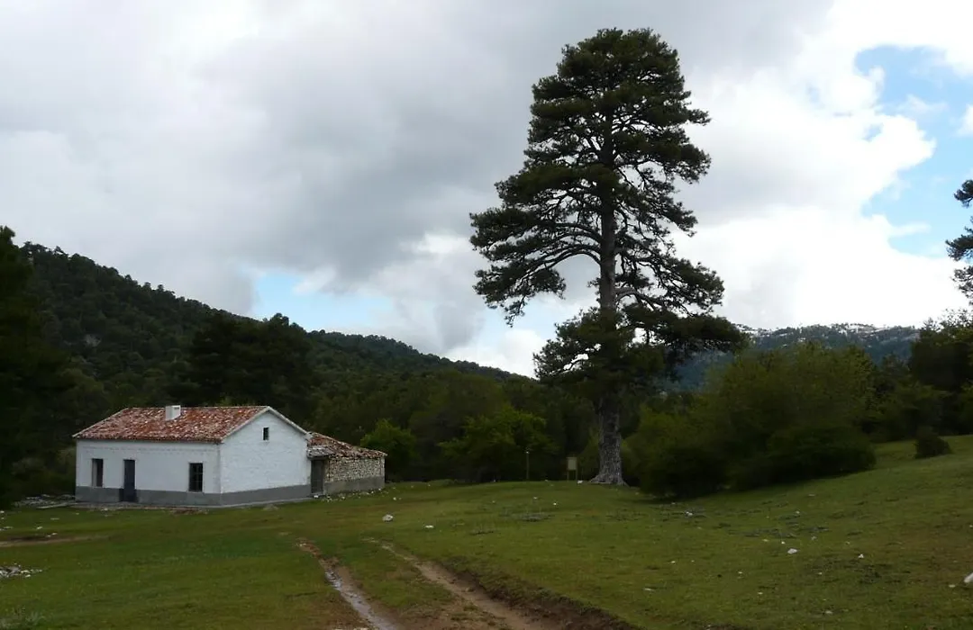 Villa Forastera-1
