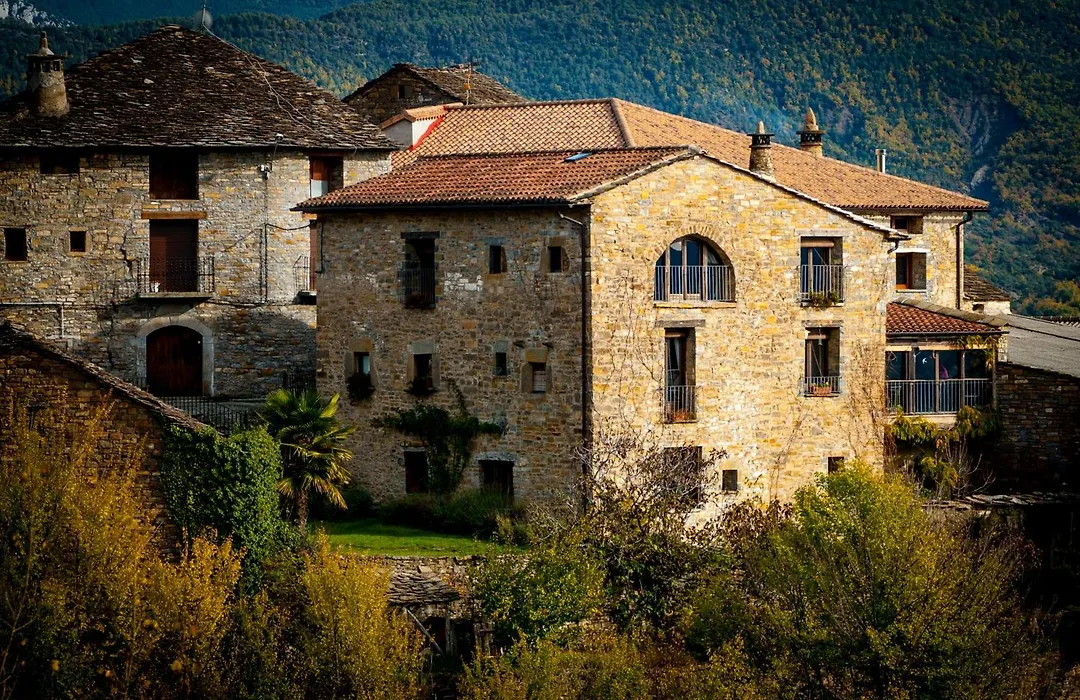 O Chardinet D'A Formiga-1