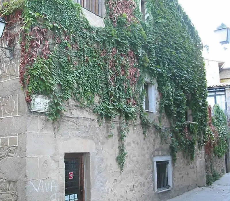 Casa Rural Corvina-1