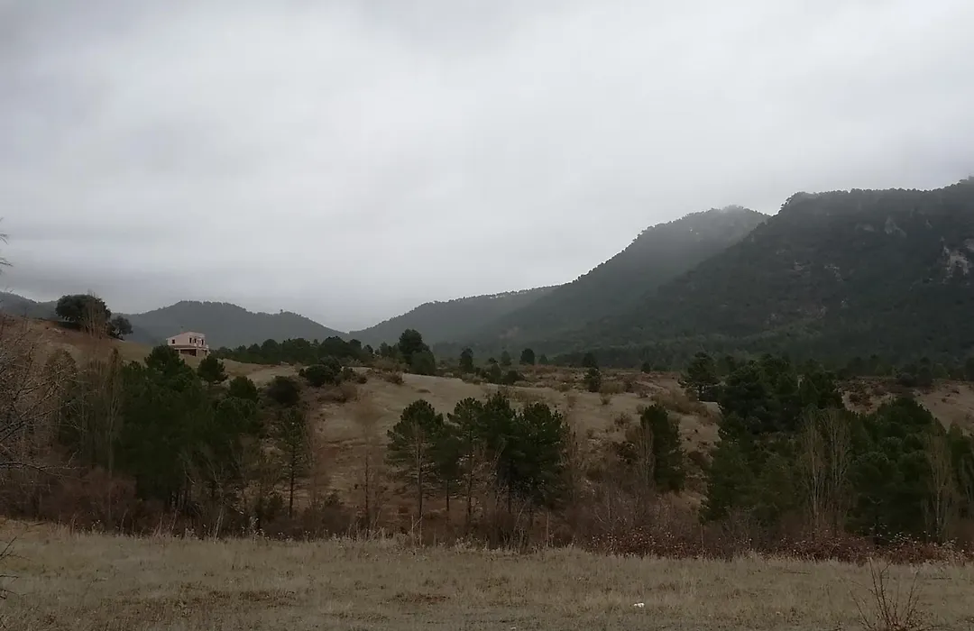 Piedra del Tesoro-1