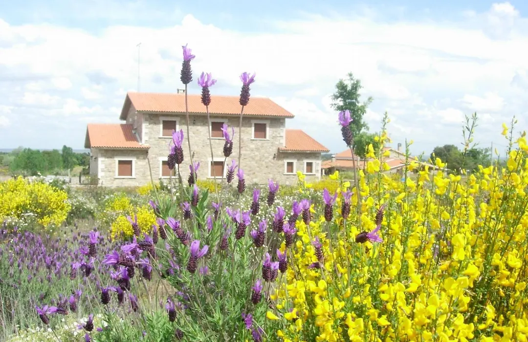 Casas Rurales Arribes Durii-1