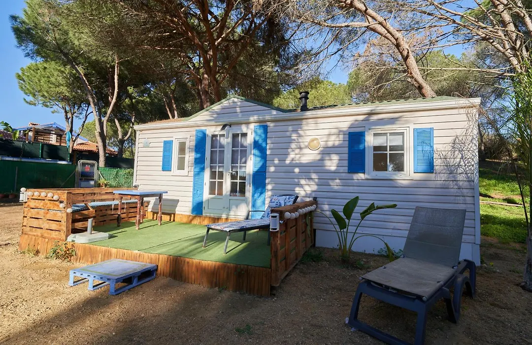 Zaluay - Mobile Homes-1