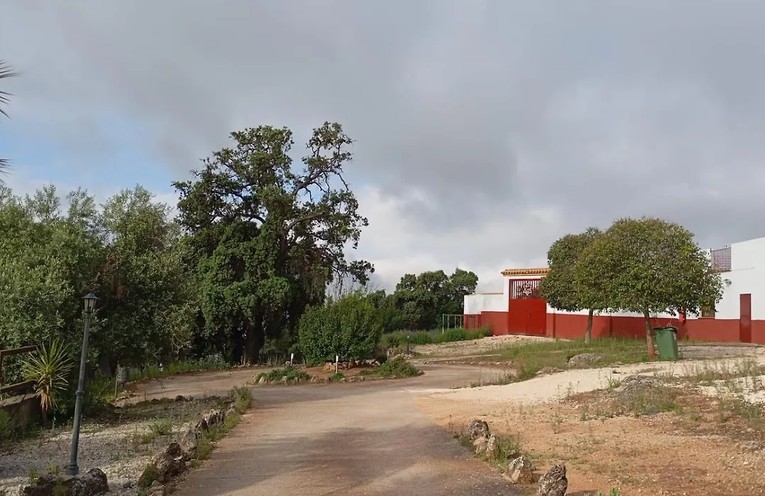 Casas Rurales Cortijo la Cañada-1