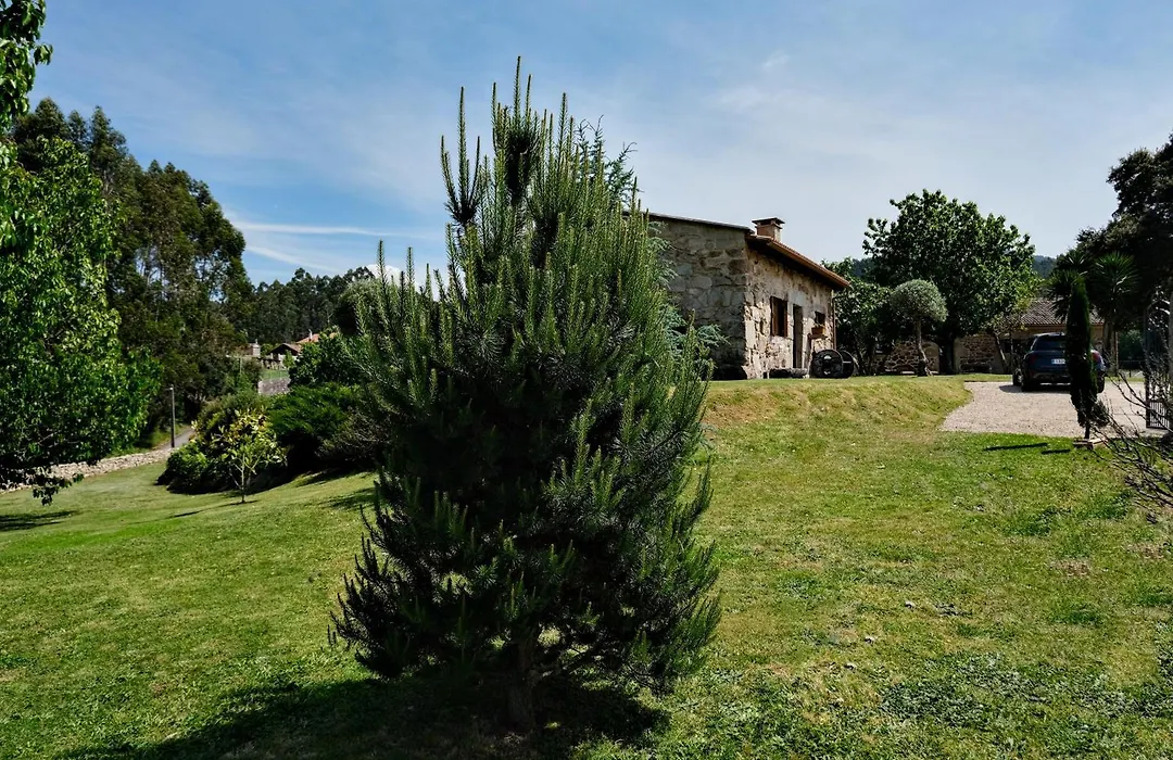 Casa Rural El Abuelo de Arcos - Only Adults-1