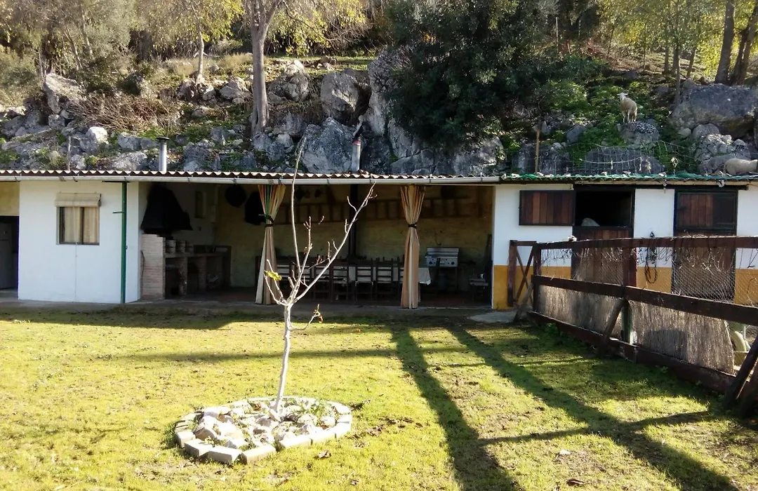 Alojamiento Rural Manantial de los Cañitos-1