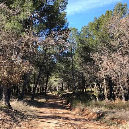 Casa Rural Tio Mora-3