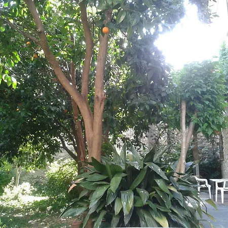 Casa Rural Corvina-3