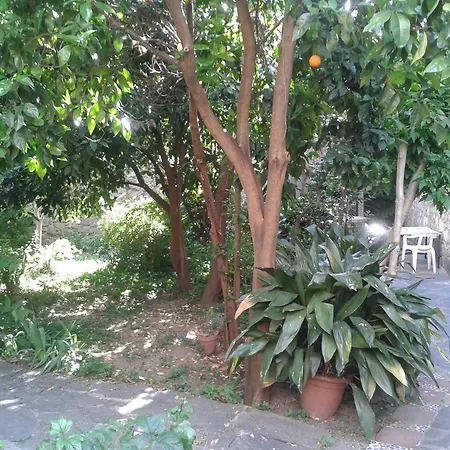 Casa Rural Corvina-2