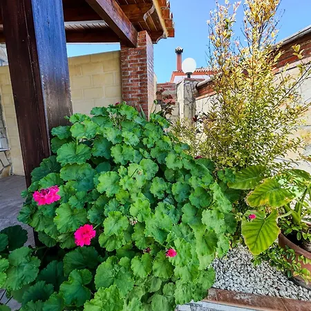 Villa Rosal- Solo familias y parejas-2