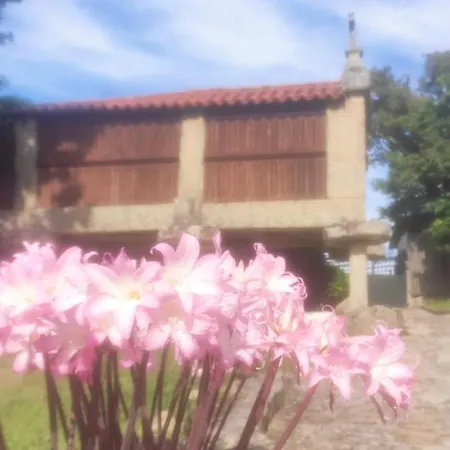 Casal De Folgueiras Rias Baixas-3