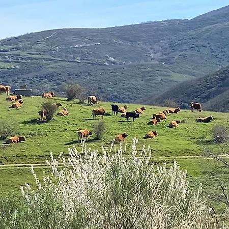 La Casita de Chocolate - Encanto Rural en Espinoso de Compludo - El Bierzo-2