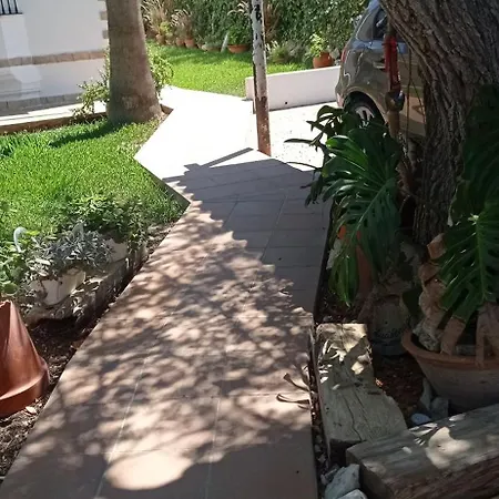 La Luciérnaga-2