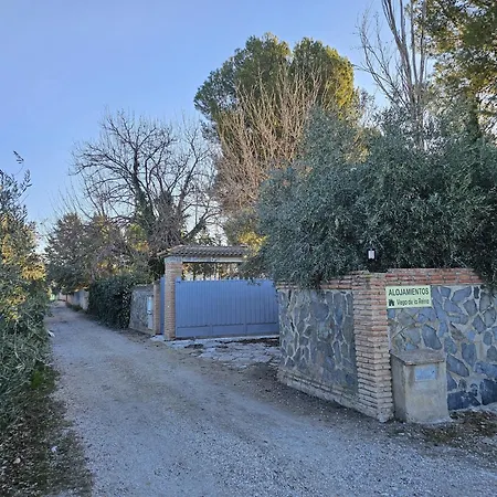 Vega de la Reina-3