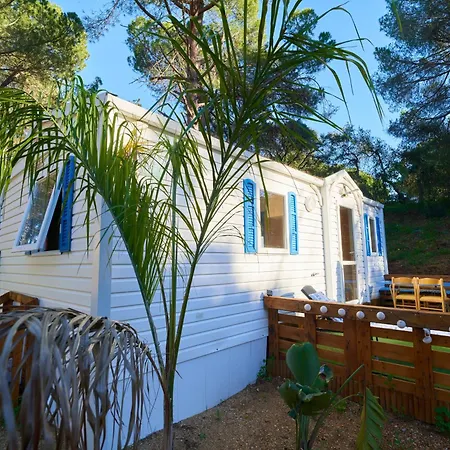 Zaluay - Mobile Homes-2