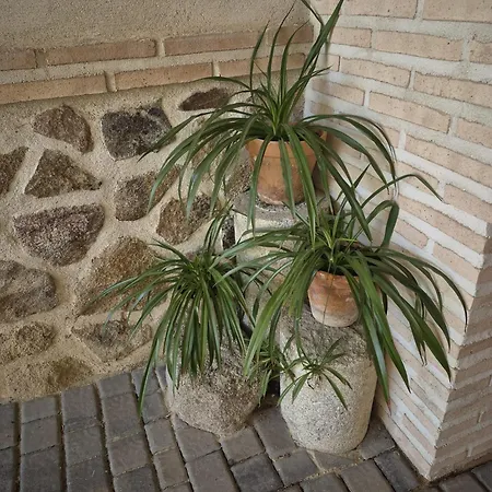 Casas Rurales El Aljibe, Jara-2