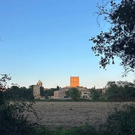 Turisme Rural Ca L,Anguila-3