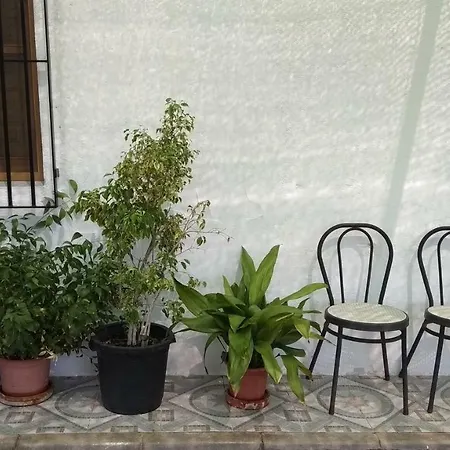 Casa Rural La Yedra-2