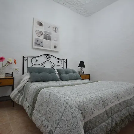 Casa Rural Guayadeque Ca'Juani-2