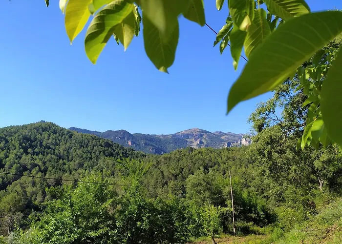 Casas Rurales La Tobica Yeste 