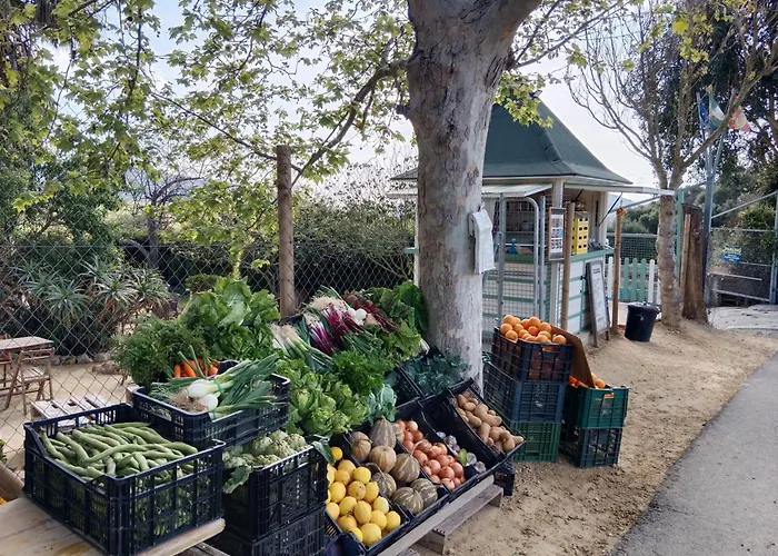 Casa Rural El Cubillo Vejer de la Frontera