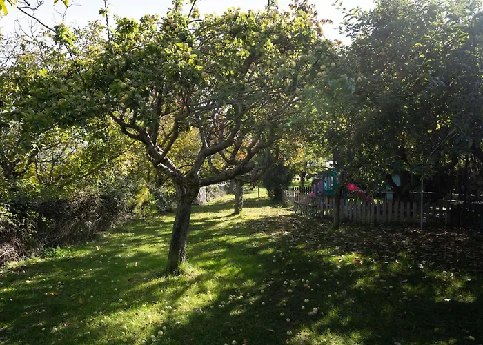 Hostal El Zarzal Horche
