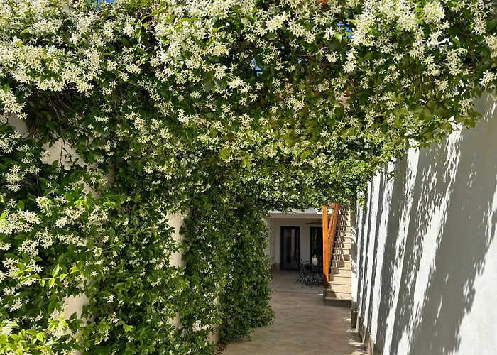 El Patio de los Jazmines Consuegra