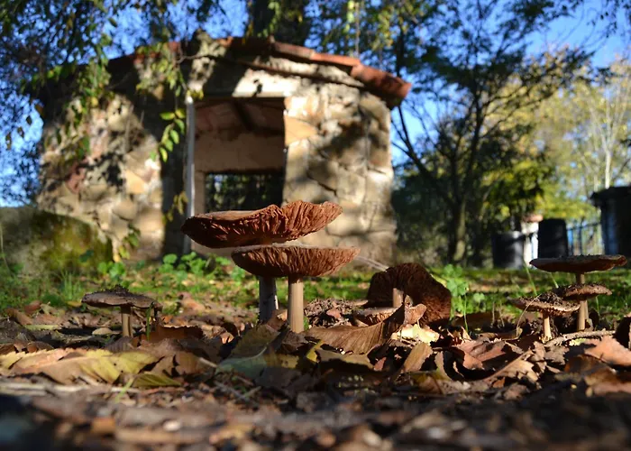 Casa Rural Cortijo del Zoco Bajo Pozoblanco