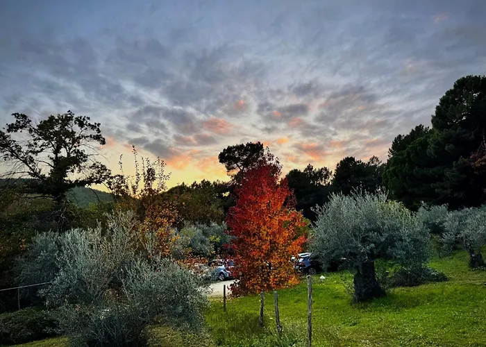 Casa Rural Las Gesillas Arenas de San Pedro