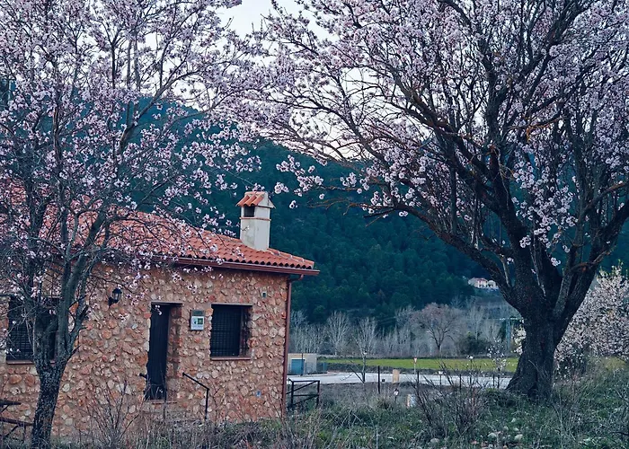 Casas Rurales La Loma Riópar