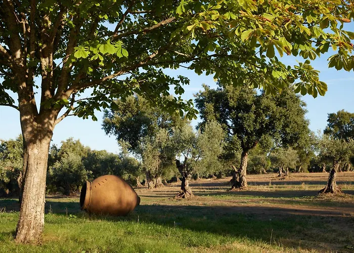 Finca El Azahar Trujillo