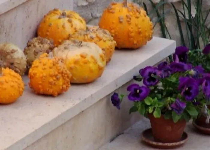 Hotel Rural Casa De La Marquesa Chinchón