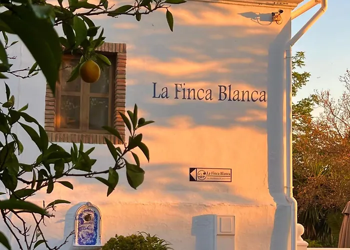 La Finca Blanca Álora