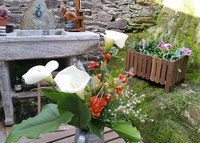 Hostal Casa De Aldea La Galea Vegadeo